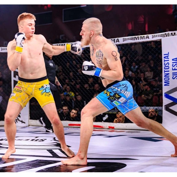 Рукавички для спарингу MMA DBX BUSHIDO Edge Valor Series L/XL