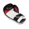 Боксерські рукавички DBX BUSHIDO Phantom White Valor Series 10oz