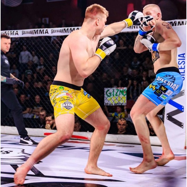 Рукавички для спарингу MMA DBX BUSHIDO Edge Valor Series L/XL