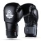Боксерські рукавички DBX BUSHIDO Eclipse Origin Series 12oz