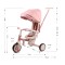 Триколісний велосипед Milly Mally Zippy 5в1 Pink