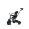 Триколісний велосипед Qplay ELITE PLATINUM Platinum Grey