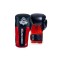 Боксерські рукавички DBX BUSHIDO B-3PRO 10oz чорно-червоні