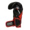 Рукавички для боксу DBX BUSHIDO Blaze Red Legacy Series 12oz