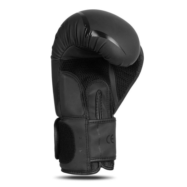 Боксерські рукавички DBX BUSHIDO Raptor 12oz, Origin Series, матово-чорні з глянцевим візерунком