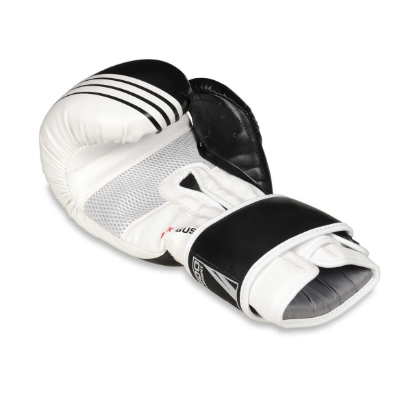 Боксерські рукавички DBX BUSHIDO Edge 10oz