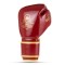Боксерські рукавички DBX BUSHIDO ProFighter Cherry