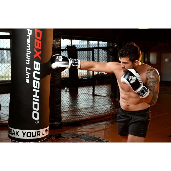 Боксерські рукавички DBX BUSHIDO Edge 10oz