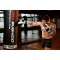 Боксерські рукавички DBX BUSHIDO Edge 10oz