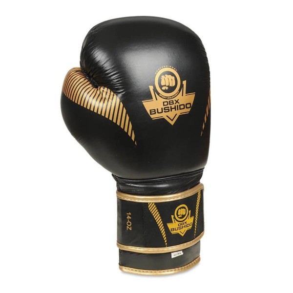 Рукавички для боксу DBX BUSHIDO Aureos Valor Series 12oz