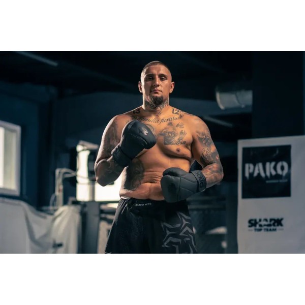 Рукавички для боксу DBX BUSHIDO Hammer Black 16oz