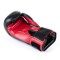 Боксерські рукавички DBX BUSHIDO 4Fighter Red 6oz червоно-чорні