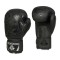 Рукавички боксерські DBX BUSHIDO Black Dragon Valor Series 12oz, чорні