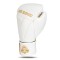 Боксерські рукавички DBX BUSHIDO Hammer-White 14oz, білі, Legacy Series