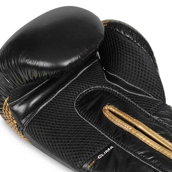 Рукавички для боксу DBX BUSHIDO Aureos Valor Series 10oz