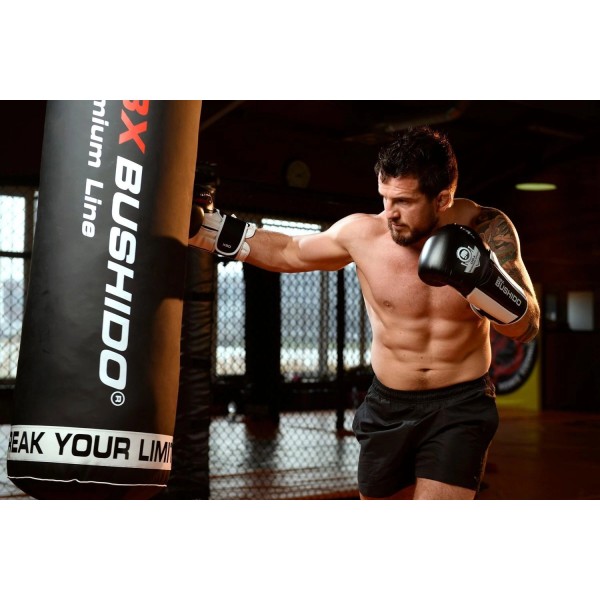 Боксерські рукавички DBX BUSHIDO Valor Series Phantom White 12oz