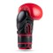 Боксерські рукавички DBX BUSHIDO Warrior RED з натуральної шкіри