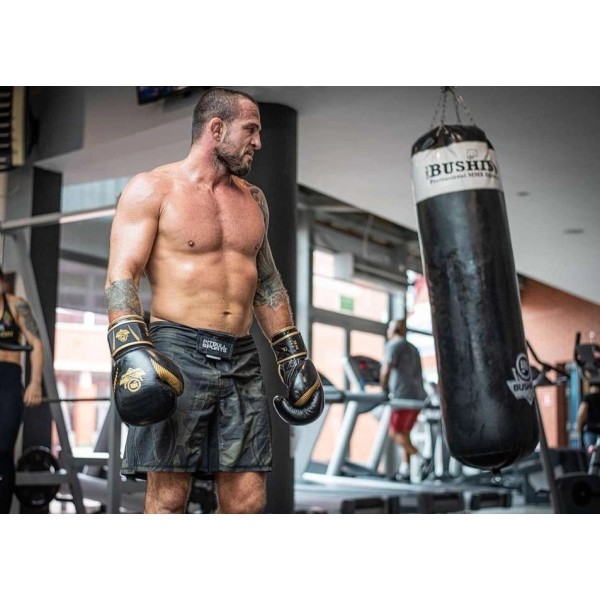 Рукавички для боксу DBX BUSHIDO Aureos Valor Series 12oz