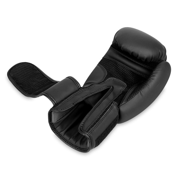 Боксерські рукавички DBX BUSHIDO Taver Black One 16oz