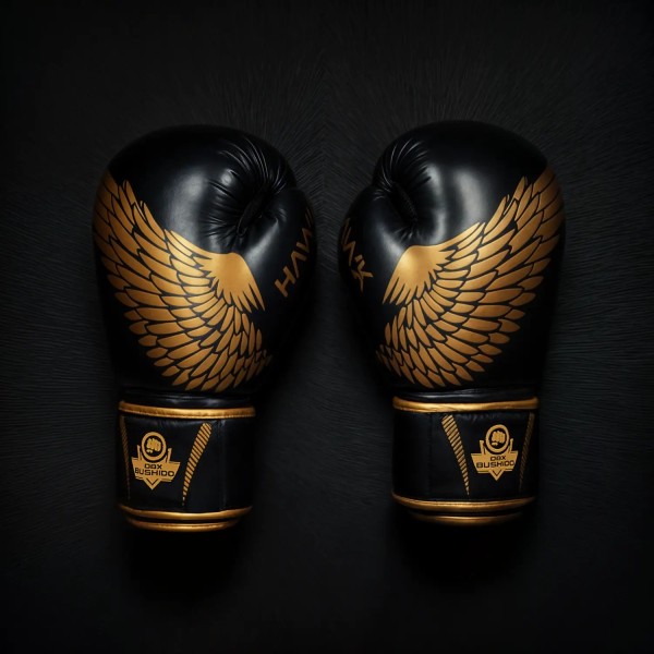 Рукавички для боксу DBX Bushido HAWK Origin Series 10oz