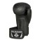 Рукавички для боксу DBX BUSHIDO Black Dragon Valor Series 8oz чорні