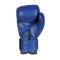 Боксерські рукавички DBX BUSHIDO 4Fighter Blue 6oz, сині