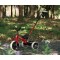 Триколісний велосипед Qplay Elite Pro Red