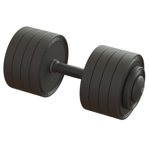 Гантель професійна 42 кг BruStyle TC126-42PL