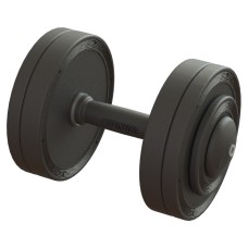 Гантель професійна 17 кг BruStyle TC126-17PL