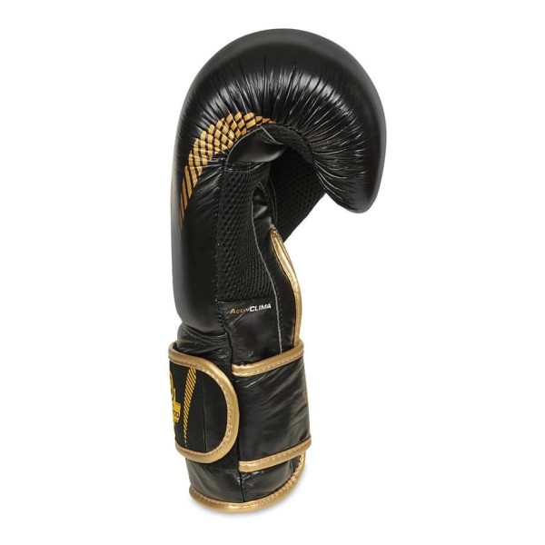 Рукавички для боксу DBX BUSHIDO Aureos Valor Series 10oz