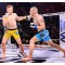 Рукавички MMA для спарингів DBX BUSHIDO Edge Valor Series S/M