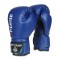 Дитячий боксерський набір DBX BUSHIDO Kids60, 60x25см, синій