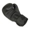 Рукавички боксерські DBX BUSHIDO Black Dragon Valor Series 12oz, чорні