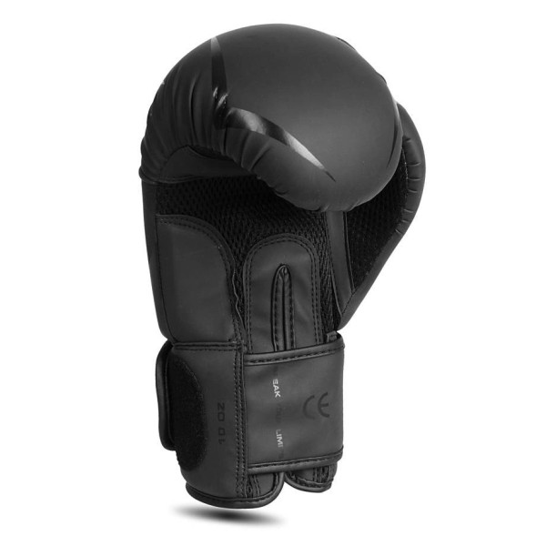 Боксерські рукавички DBX BUSHIDO Raptor 12oz, Origin Series, матово-чорні з глянцевим візерунком