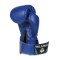 Боксерські рукавички DBX BUSHIDO 4Fighter Blue 6oz, сині