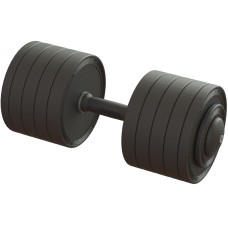 Гантель професійна 46 кг BruStyle TC126-46PL