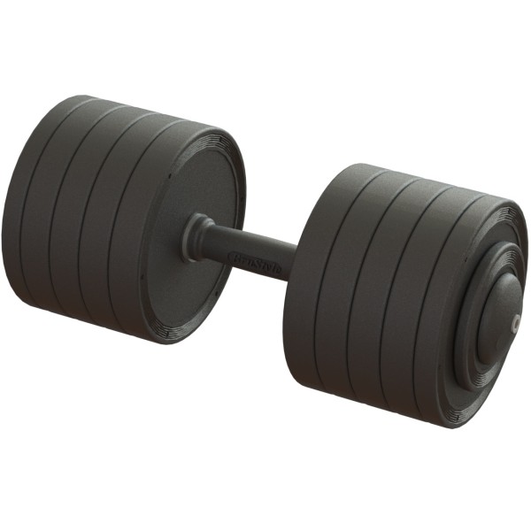 Гантель професійна 46 кг BruStyle TC126-46PL