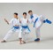 Рукавички для карате Mitts 2 BLUE
