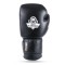 Боксерські рукавички DBX Bushido Striker Legacy Series 14oz