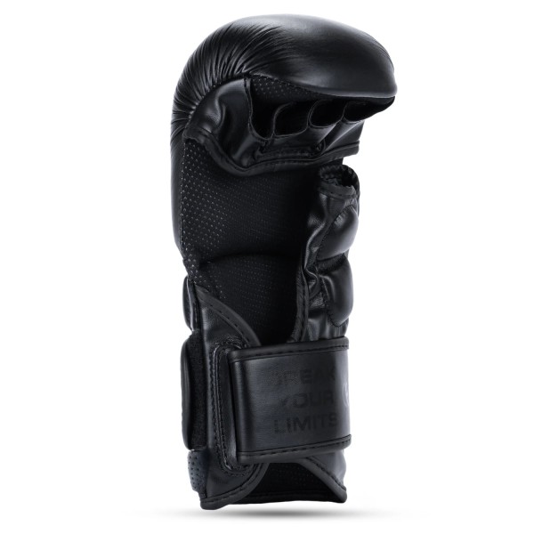 Рукавички MMA для спарингу DBX Bushido Warrior Black Legacy Series L