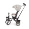 Триколісний велосипед Milly Mally Twinkle Grey
