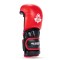 Рукавички MMA для спарингу DBX Bushido Warrior Red Legacy Series L
