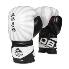 Боксерські рукавички DBX BUSHIDO JAPAN 10oz, серія Valor