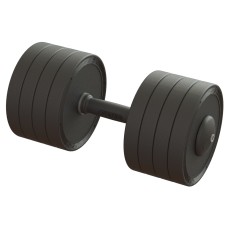 Гантель професійна 40 кг BruStyle TC126-40PL