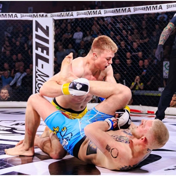 Рукавички MMA для спарингів DBX BUSHIDO Edge Valor Series S/M