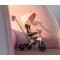 Триколісний велосипед Qplay Elite Platinum Pink