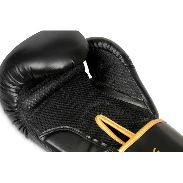 Боксерські рукавички DBX BUSHIDO HAWK Origin Series 12oz
