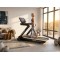 Бігова доріжка FitLogic T581A Mirror