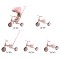 Триколісний велосипед Milly Mally Zippy 5в1 Pink