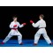 Рукавички для карате WKF DBX BUSHIDO DBX-KM-Red, L